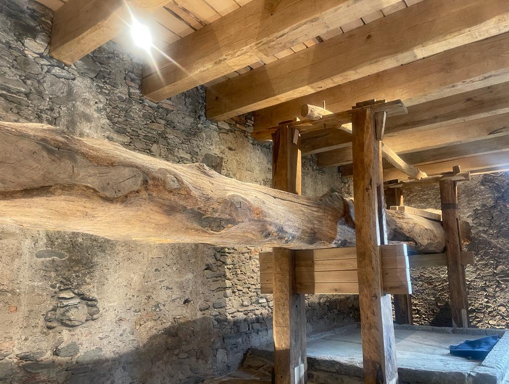 Immagine WhatsApp 2023-10-06 ore 10.32.59_f1c7ea89 Guido